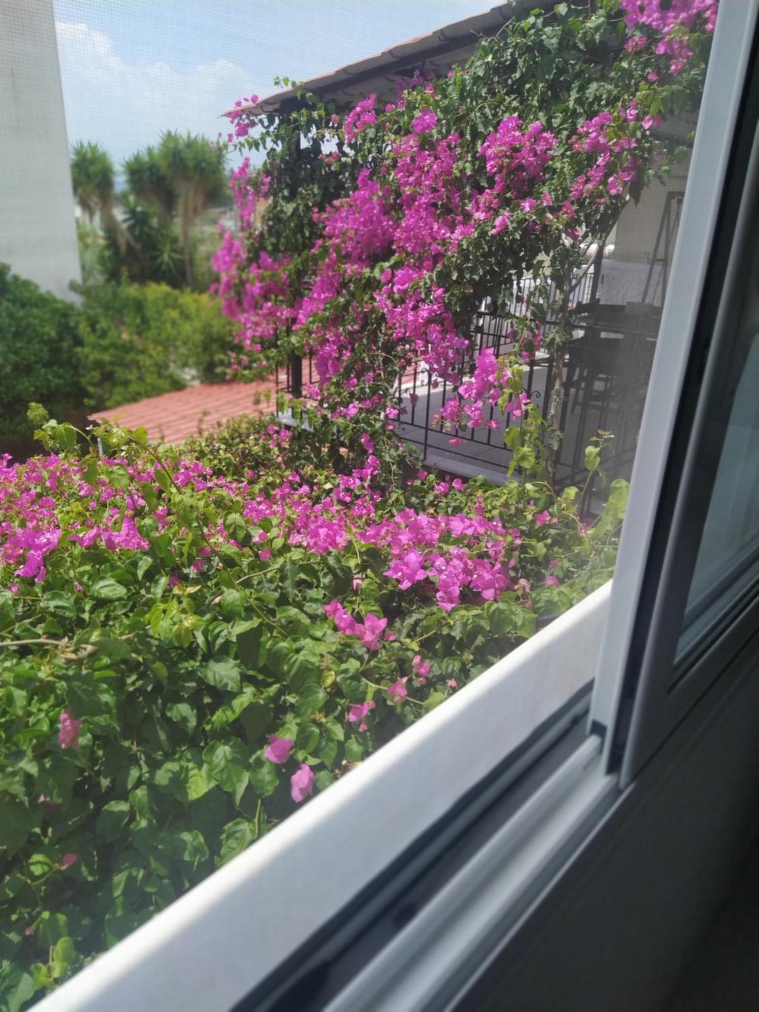 Kritharia Guesthouse Volos 외부 사진